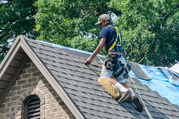 Best Roof Gutter Cleaning  in Kapn, LA